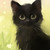 :icondarkflame728: