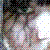 :icondarkforestspook:
