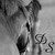 :icondarkfoxxxstudios: