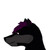 :icondarkgalaxystudio: