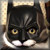 :icondarkghosty: