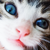 :icondarkgoth: