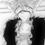 :icondarkgothkitsune: