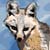 :icondarkgranzar: