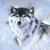 :icondarkgreywolfofnorbex: