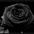 :icondarkhaze9: