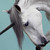 DarkHeart9595 :icondarkheart9595: