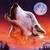 :icondarkknight-darkfrost: