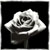 :icondarklace15: