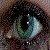 :icondarklady85: