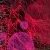 :icondarklammastha: