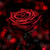 :icondarklillyrose: