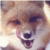 :icondarklink691: