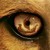 :icondarkliss: