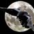 :icondarklord-raven: