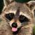 :icondarklordpop: