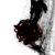 :icondarkluck: