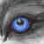 :icondarklunawolf: