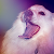 :icondarklyironic: