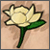 :icondarkmagnolia: