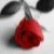 :icondarkmemoirs: