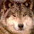 :icondarkmoonrises: