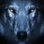 :icondarkmyrtality: