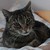 :icondarkness-ablaze: