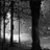 :icondarkness-falling:
