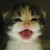 :icondarknessabuser: