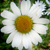 :icondarknesshope: