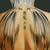 :icondarknesslady98: