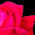 :icondarknessrose1993: