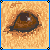 :icondarknesswolf458: