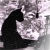 :iconDarkOctoberNight: