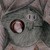 :icondarkphe0nix: