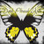 :icondarkphreakarts: