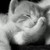 :icondarkpolaris: