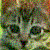 :icondarkprincess16: