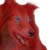 :icondarkredcollie: