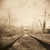 :icondarkroommonkey: