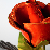:icondarkrose03281: