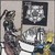 :icondarkrose1979: