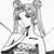 :icondarkroses: