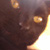 :icondarksapphire: