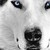 DarkShadoww :icondarkshadoww:
