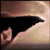 :icondarkshe-wolf:
