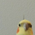 :icondarkshumaru: