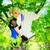 :icondarksideofchocolate: