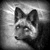 :icondarkskullwolf: